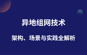 異地組網(wǎng)技術(shù)架構(gòu)、場景與實踐全解析